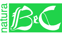 bec