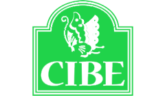 cibe