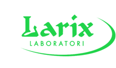 larix