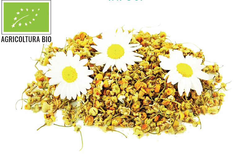 camomilla