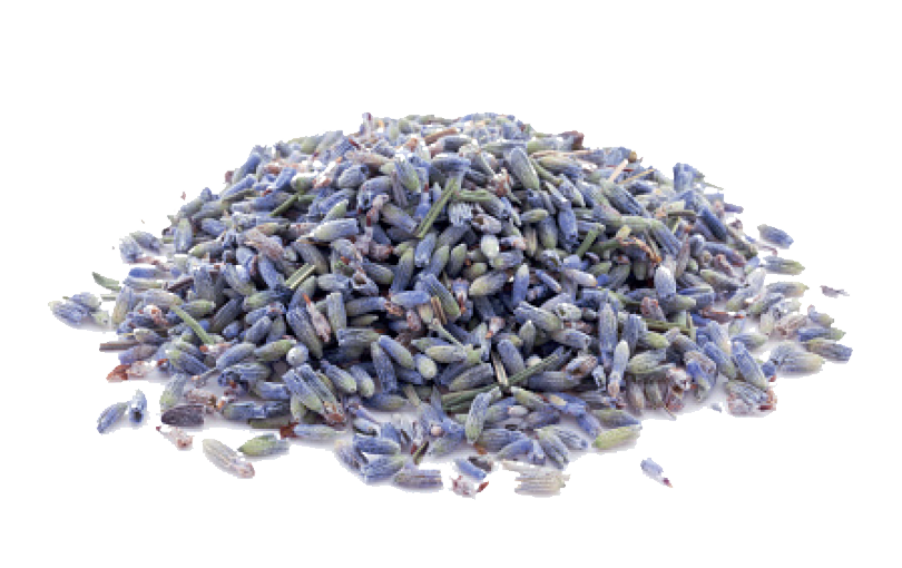 lavanda