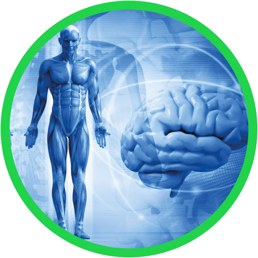 Kinesiologia